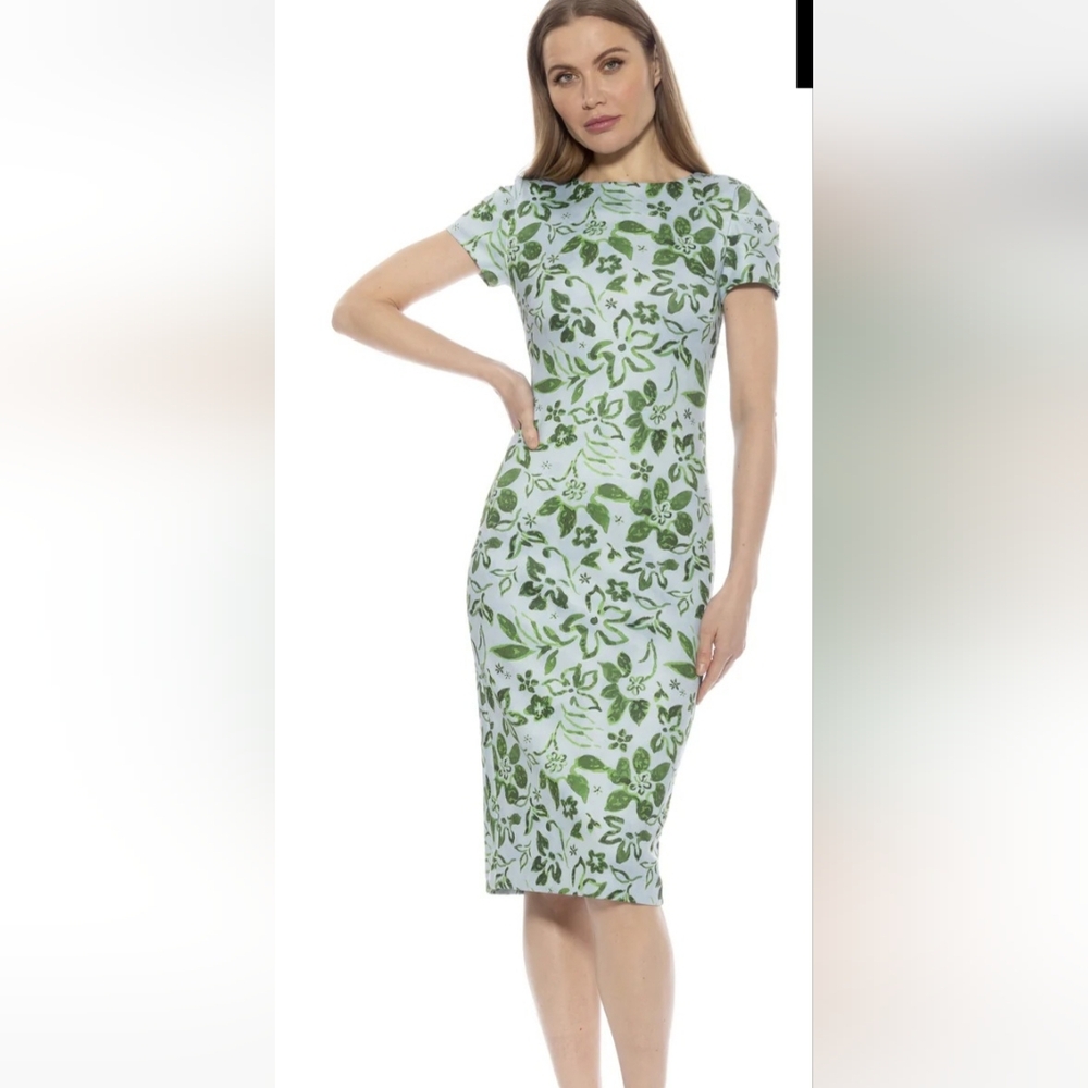 NWT Alexia Admor Crysta Dress- L